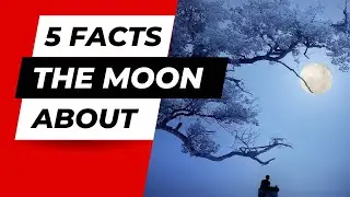 5 Weird Facts About the Moon You Didn't Know 🌕 #shorts
