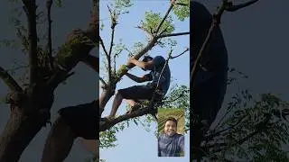 Babban Neem Ka Tree Funny Vlogs MFA07Vlogs #shorts #youtubeshorts #minivlog #tree #viral #trend