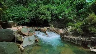 Peaceful River Water Ambience for Sleep | Relaxing Nature Sounds for Stress Relief & Reset | 4K-HDR