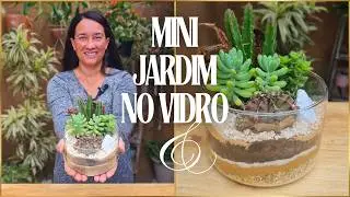 MINI JARDIM M&Aacute;GICO no Vidro: Crie seu pr&oacute;prio ecossistema! ✨ TUTORIAL COMPLETO