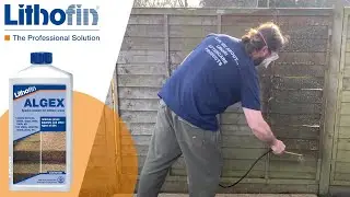 How to Remove Green Algae from Wooden Fence Panels