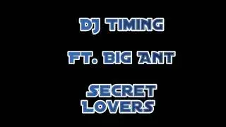 DJ Timing - Ft. Big Ant - Secret Lovers - DOWNLOAD LINK !