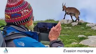 MDA-GENEVE | Evasion montagne