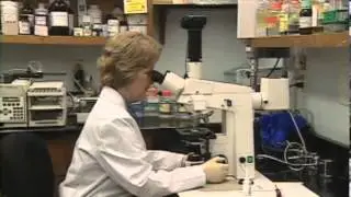 About Lyme Research Alliance