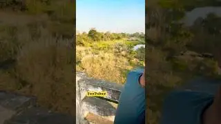 YouTuber goal#shots #viral #video #petshub #motivation #viralvideo #youtubeshorts #youtube #youtuber