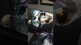 TOP 5 DARK ANIME WALLPAPERS 🔥 | PC Setup Aesthetic 😈