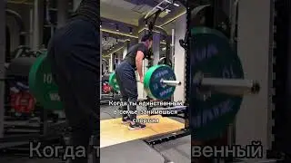 Жиза #gymmeme #качалка #gymbros #barbellrows #backrows #stewiegriffin #backworkouts  #gymbuddies