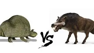 Prehistoric Rampage!|Деодон против дедикуруса