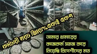 How to raise quail birds correctly like foreigners ||Satik Niyame Koel Pakhi Palon Poddodti||