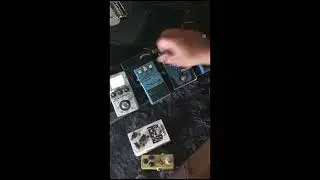 Pedal no talk:  Ce3  Boss & Angel chorus (mfmod) Landscape