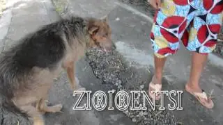 Lil'Simba - Zirirentsi