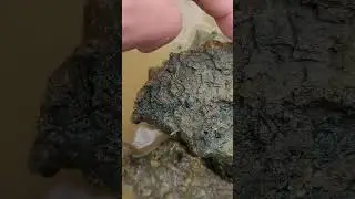 Panning for gold on the clay layer... #americasbackyardgold