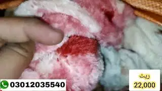 SherShah China AC Blankets  | Used Blankets | AC Kambal | Wholesale | Hammad Ahmed Offical