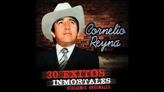 Cornelio Reyna - Gabino Saurez