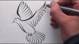 How To Draw a Tribal Dove Tattoo Design