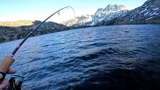 2024 Eastern Sierra Trout Opener - How To Find and Catch Monster Trout - UNDERWATER DRONE FOOTAGE!