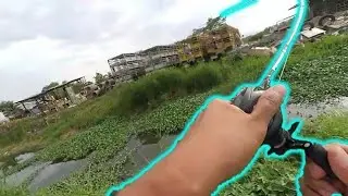 Urban Fishing Monster Snakhead Philippines! | Monster Ikan Gabus Casting!#MancingMonsterIkanGabus