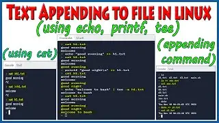 Appending Text to File using Four Ways | Linux Commands | Appending Text | Linux Tricks