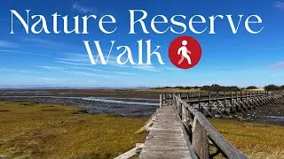Stunning Aberlady Bay Nature Reserve Walk - A Scottish Gem