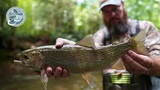 S1, Ep 53: WNC Fishing Report with the Nantahala Sasquatch