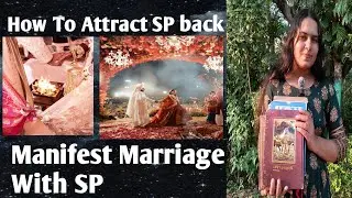 sp manifestation | sp manifest success stories | manifest marriage with specific person | loa magic
