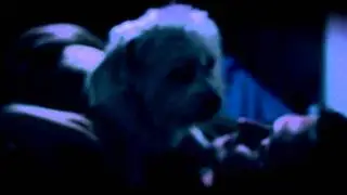 One Man, One Dog (The Love Story Of A Lifetime) Trailer 2012