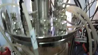 Fermentation, PHB production, Dr.Pinaki Dey