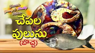 Fish curry (Bocha fish)