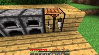 Survival together 3
