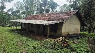 (#089) 25 acre well maintained robusta and Arabica coffee estate 🌱