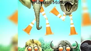Fumikiri lights 🚦 railroad crossing animal style Japanese railroad crossing #fumikiri #railroad 