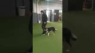 Loppan tr&auml;ning