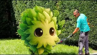 MOST SATISFYING JOB: Large Conifer Trimming | Hedge, Garden Hack, Lawn Care