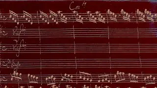 VIVALDI | Violin Concerto RV 222 in D major | for Chiara | Original manuscript