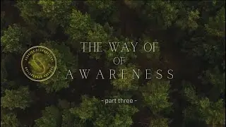 The Way of Awareness  |  Author, and Narrator: Paul Buică (Part Three)