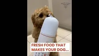 Pets Love Fresh - Fresh food that your dog is excited to eat