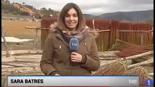 El cultivo del mimbre no pasa por su mejor momento - Redactora Sara Batres Pérez