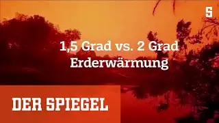 Erkl&auml;rvideo zum Klimaschutzziel: Warum es nur 1,5 Grad w&auml;rmer werden darf | DER SPIEGEL