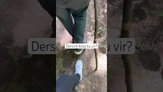 #dersim #munzur #welatam #nature #kirmanck&icirc; #zazaki #t&uuml;rk&ccedil;e #k&uuml;rt&ccedil;e #shortvideo #shorts #subscribe