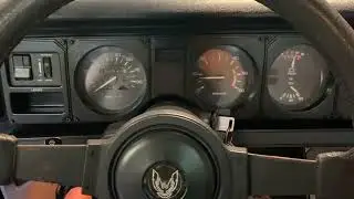 1982 Pontiac Firebird Trans Am - Cold Start