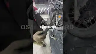 Осака Леопард на 10т пробега