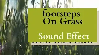 Footsteps Grass Sound Effect(HD)|Footsteps Grass Sound Effect|Footsteps Grass Sound|Footsteps Grass