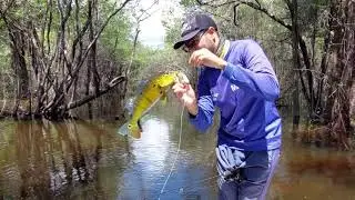 3D Inshore Popper - Yo-Zuri