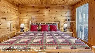 BEAR CAMP TOUR Buzzards Roost