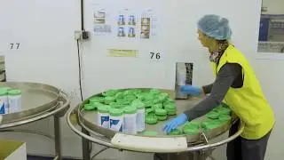 PAL International - Disinfectant & Cleaning Wipes, Hygiene Workwear and Chefs'​ Headwear