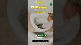 Toilet Cleaning HACK  Sparkling Clean in Minutes