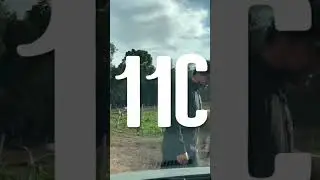 At&eacute; o Felipe Camargo escalada PIRA&Iacute; DO SUL, aqui &eacute; o PIRA&Iacute;SO da escalada brasileira