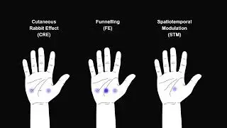 Illusory-UMH: A Systematic Comparison of Tactile Illusions and Modulation Techniques in Ultrasoni...