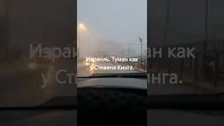 Туман в Израиле  как  Туман  у Стивена Кинга. Fog in Israel is like Stephen King's Fog.
