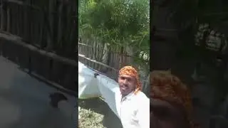 Roast on congress and Rjd in bihar election